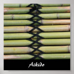 Aikido Japanese Martial Art Print
