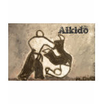 Aikido t-shirts