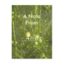 Ailive Postcards