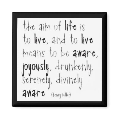 "Aim Of Life" Fridge Magnets by kokobaby
