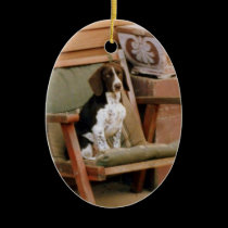 Ain't Nothing But A Hound Dog ornaments
