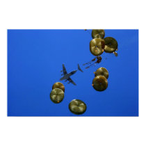 Air Drop posters