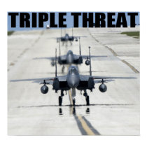 Air Force F-15 Eagles posters