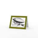 Air Ship card