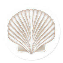 Airbrush Style Seashell