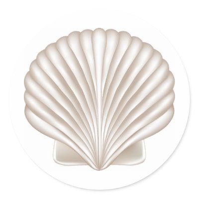 Airbrush Style Seashell by White_Wedding