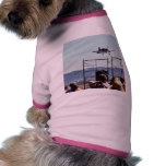 Aircraft Dog Clothes