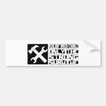 Aircraft Maintenance Survive Bumper Stickers