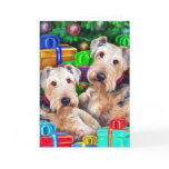 Airedale Christmas Open Now