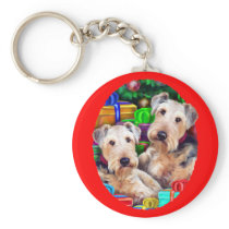 Airedale Christmas Open Now
