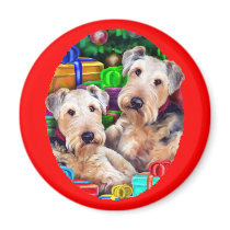 Airedale Christmas Open Now