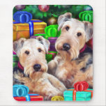 Airedale Christmas Open Now