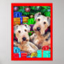Airedale Christmas Open Now