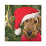 Airedale Christmas Santa Magnet