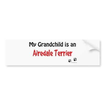 Airedale Grandchild Bumper Sticker by dogwiregifts