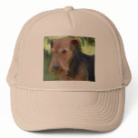 Airedale hats