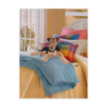Airedale, Lakeland or Welsh Terrier Pup Postcard
