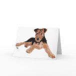 Airedale, Lakeland, Welsh Terrier Pup Greeting Cards