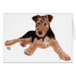 Airedale, Lakeland, Welsh Terrier Pup Cards