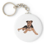 Airedale, Lakeland, Welsh Terrier Pup Keychains