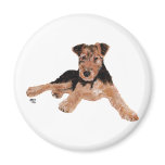Airedale, Lakeland, Welsh Terrier Pup Fridge Magnets