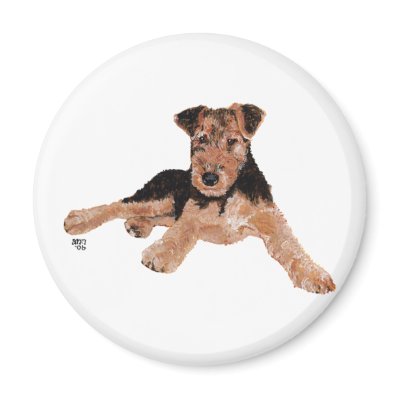 Airedale, Lakeland, Welsh Terrier Pup Fridge Magnets by MaggieRossAiredales