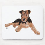 Airedale, Lakeland, Welsh Terrier Pup Mouse Pads