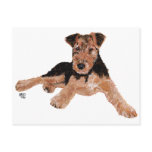Airedale, Lakeland, Welsh Terrier Pup Post Cards