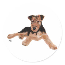 Airedale, Lakeland, Welsh Terrier Pup Round Stickers