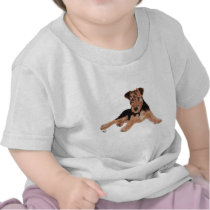 Airedale, Lakeland, Welsh Terrier Pup Tees
