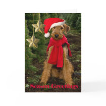 Airedale Season Greetings Cards