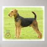 Airedale Terrier 8T092D-16 posters