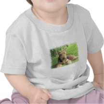 Airedale Terrier Baby T-Shirt