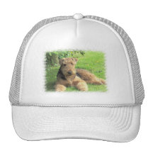 Airedale Terrier Baseball Cap Mesh Hats