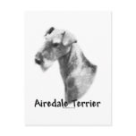 Airedale Terrier Charcoal
