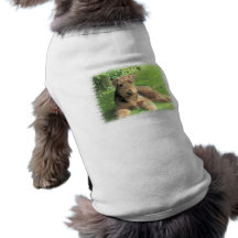 Airedale Terrier Dog Shirt