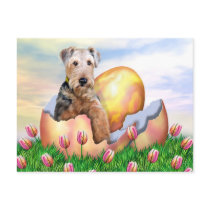 Airedale Terrier Easter Surprise