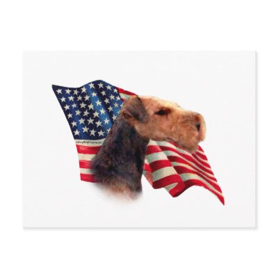 Airedale Terrier Flag Post Cards by GreyWolfCreation
