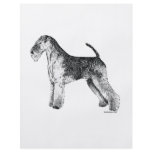 Airedale Terrier Flyers