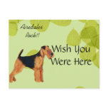 Airedale Terrier ~ Green Leaves Design Post Card
