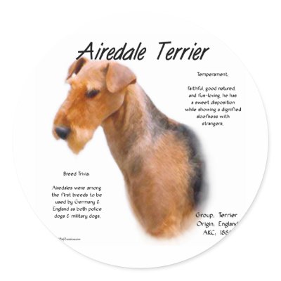 Airedale Terrier History Design by GreyWolfCreation