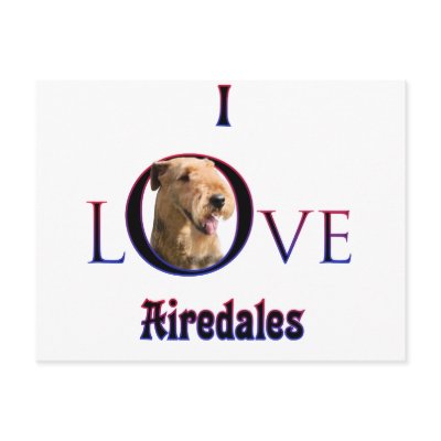 Airedale Terrier I Love Postcards by GreyWolfCreation