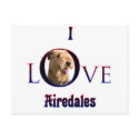Airedale Terrier I Love postcards