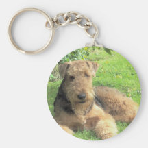 Airedale Terrier Keychain