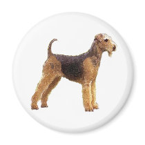 Airedale Terrier Magnets