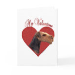 Airedale Terrier My Valentine Greeting Cards
