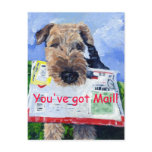 Airedale Terrier Postcard!