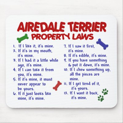 AIREDALE TERRIER Property Laws 2 by poochloverstuff