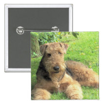 Airedale Terrier Square Pin