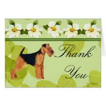 Airedale Terrier Thank You Card